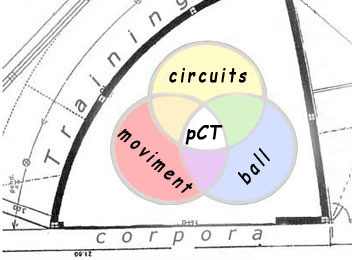 cTg circuitos